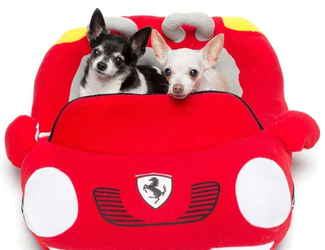 Furrari pet carrier best sale